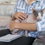 Le cancer chez le chat : symptômes, diagnostic et traitements