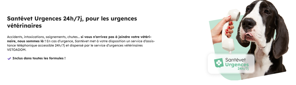 SanteVet urgences